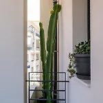 Daire Asklipiou Cube - Mediterranean
